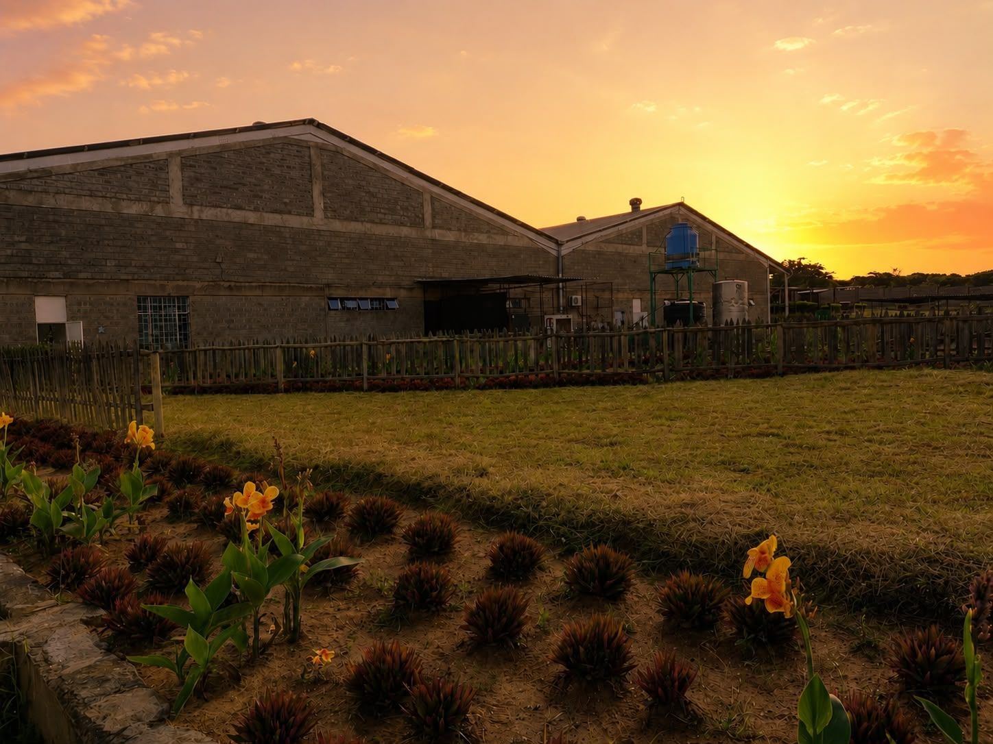 Sunny Processors Ltd contact and head office in Nairobi, Kenya